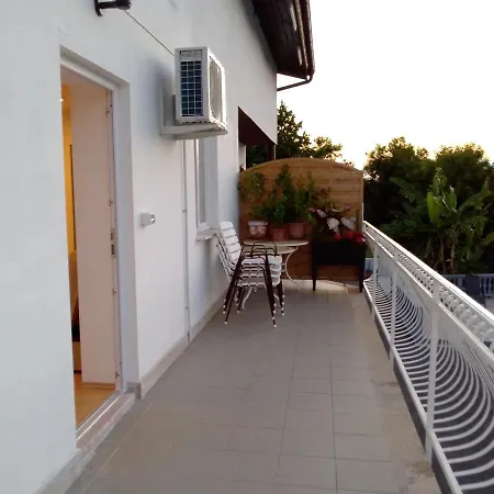 Guest Palma 3*