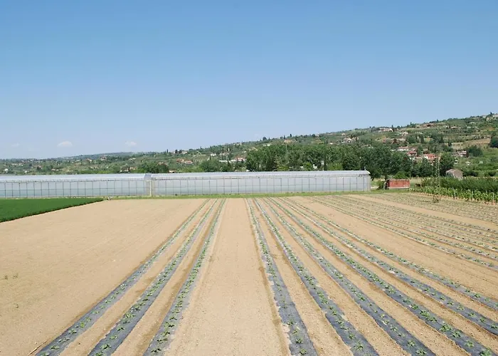 فندق مبيت وإفطار Guest Palma 3*