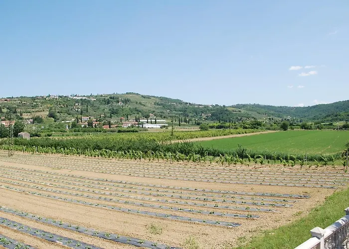 فندق مبيت وإفطار Guest Palma 3*